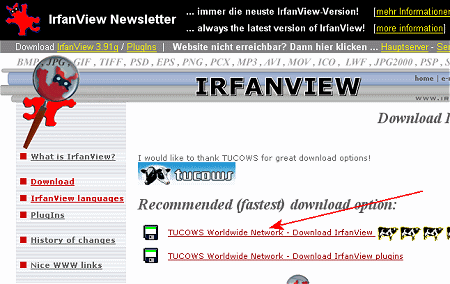 IrfanView Downloadseite